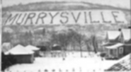 Murrysville Sign Original Planting